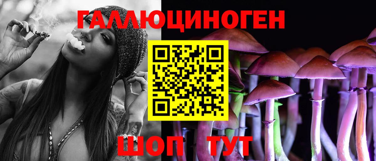 Канаш  наркота  Вход с VPN  Галлюциногенные грибы Psilocybe  Псилоцибиновые грибы ЛСД 